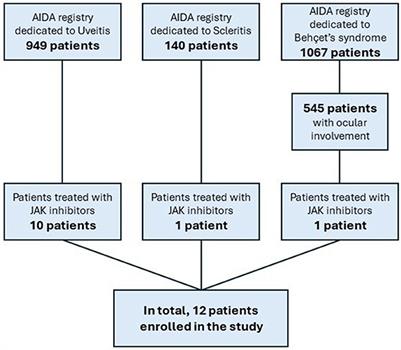 Corrigendum: Efficacy and safety of Janus kinase inhibitors in non-infectious inflammatory ocular diseases: a prospective cohort study from the international AIDA network registries